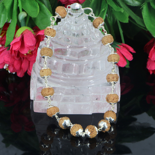 7 Mukhi Rudraksha Bracelet