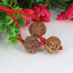 "Premium Lakshmi Ganesha Rudraksha Kavach with two 7 Mukhi Rudraksha beads and original Ganesh Rudraksha, crafted for spiritual significance and elegant traditional wear."
