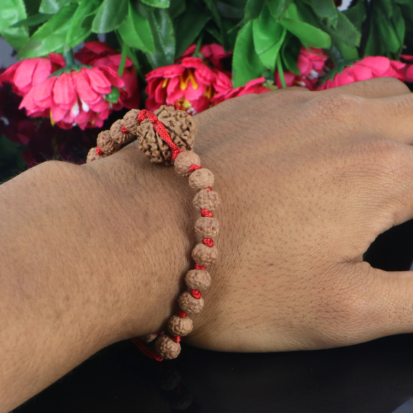 "Premium 7 Mukhi Rudraksha Bracelet with original Nepali and Indonesian Rudraksha beads, crafted for spiritual significance and traditional elegance."