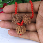"Premium Lakshmi Ganesha Rudraksha Kavach with two 7 Mukhi Rudraksha beads and original Ganesh Rudraksha, crafted for spiritual significance and elegant traditional wear."