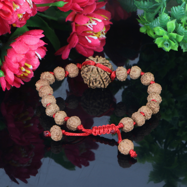 "Premium 7 Mukhi Rudraksha Bracelet with original Nepali and Indonesian Rudraksha beads, crafted for spiritual significance and traditional elegance."