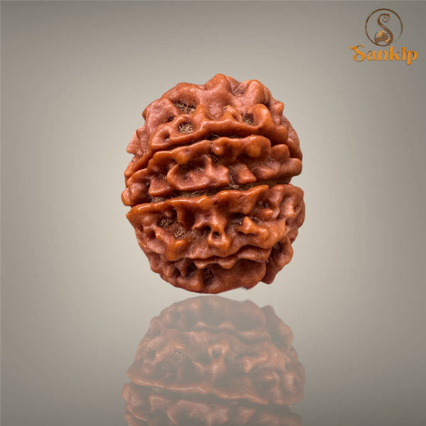 8 MUKHI RUDRAKSHA (SMALL)- NEPALI BEAD