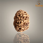 8 Mukhi Nepali Rudraksha with authentic natural bead, premium sacred Rudraksha associated with wisdom, success, obstacle removal, and spiritual growth