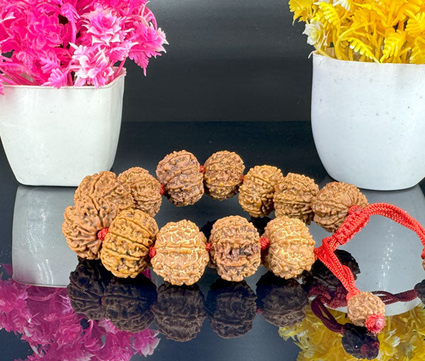 8 Mukhi Rudraksha Bracelet -Nepali