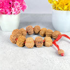 8 Mukhi Rudraksha Bracelet -Nepali