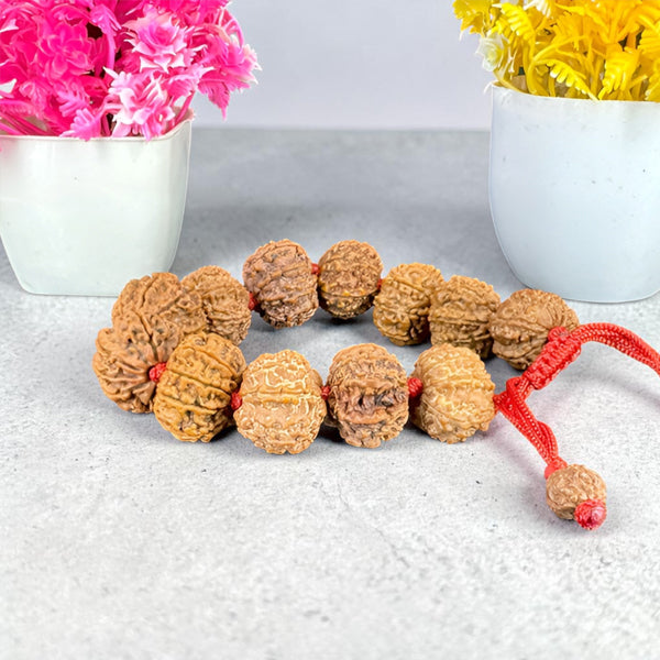 8 Mukhi Rudraksha Bracelet -Nepali