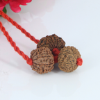 "Premium Rudraksha Kavach for Protection (Raksha) with original 9 Mukhi, 10 Mukhi, and 11 Mukhi Rudraksha beads, crafted with spiritual significance and traditional elegance."