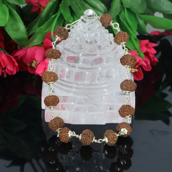 8 Mukhi Rudraksha Bracelet