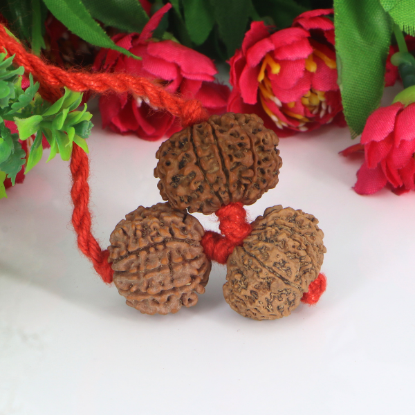"Premium Rudraksha Kavach for Protection (Raksha) with original 9 Mukhi, 10 Mukhi, and 11 Mukhi Rudraksha beads, crafted with spiritual significance and traditional elegance."