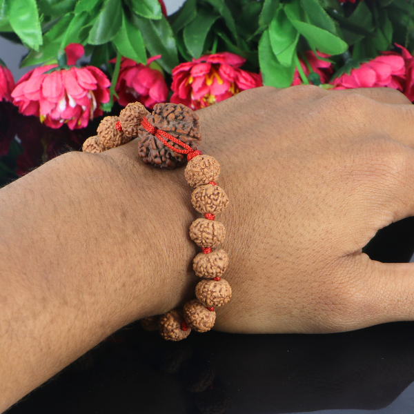 "Premium 8 Mukhi Rudraksha Bracelet with original Nepali and Indonesian Rudraksha beads, crafted for spiritual significance and traditional elegance."