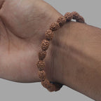 4 Mukhi Rudraksha Bracelet