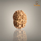 9 Mukhi Nepali Rudraksha with authentic natural bead, premium sacred Rudraksha associated with courage, strength, protection, and spiritual growth.