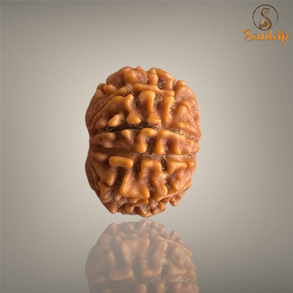 9 MUKHI RUDRAKSHA (SMALL)- NEPALI BEAD