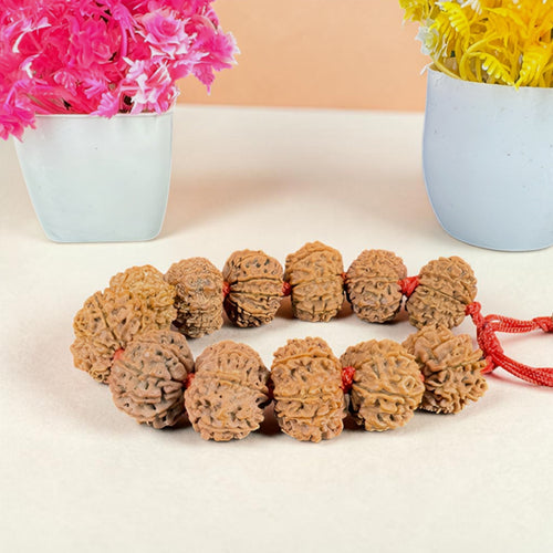 "Premium original 9 Mukhi Nepali Rudraksha Bracelet crafted with authentic Rudraksha beads, valued for spiritual significance and traditional elegance."