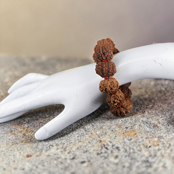 "Premium original 10 Mukhi Nepali Rudraksha Bracelet crafted with authentic Rudraksha beads, valued for spiritual significance and traditional elegance."