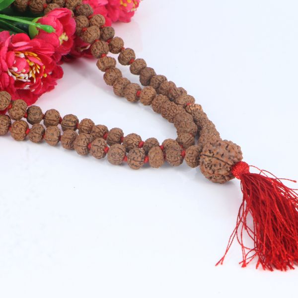 "Premium original 9 Mukhi Rudraksha Mala with 9 Mukhi Meru, crafted with authentic Rudraksha beads for spiritual significance and traditional elegance."