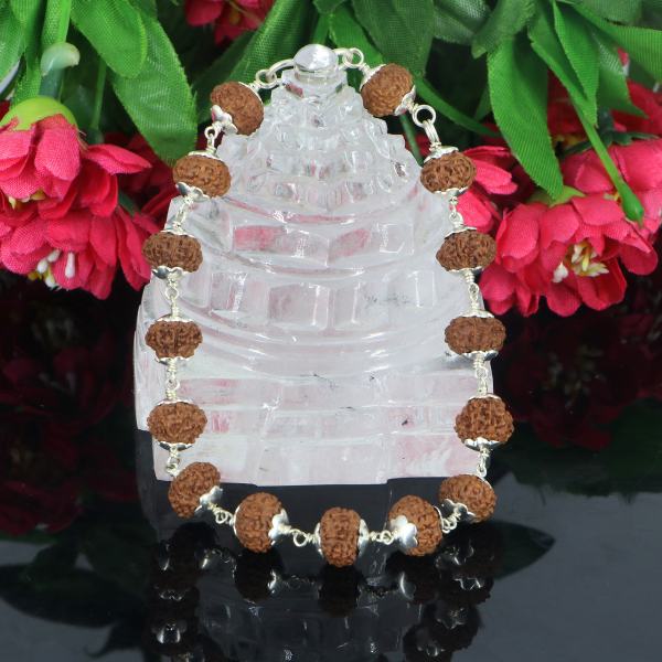 9 Mukhi Rudraksha Bracelet