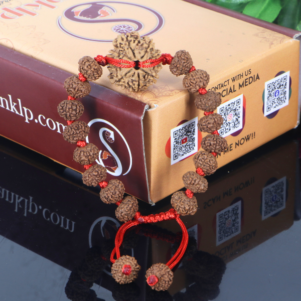 "Premium 9 Mukhi Rudraksha Bracelet with original Nepali and Indonesian Rudraksha beads, crafted for spiritual significance and traditional elegance."