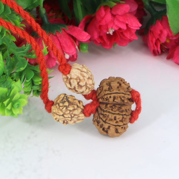 "Premium Rudraksha Kavach for relationships with two 2 Mukhi Rudraksha beads and one original Gaurishankar Rudraksha, crafted with spiritual and traditional significance."