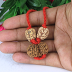 "Premium Rudraksha Kavach for relationships with two 2 Mukhi Rudraksha beads and one original Gaurishankar Rudraksha, crafted with spiritual and traditional significance."