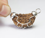 1 Mukhi Rudraksha with authentic natural bead, premium sacred Rudraksha associated with spiritual awareness, inner peace, focus, and divine connection.