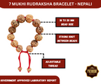 7 Mukhi Rudraksha Bracelet with 12 Genuine Nepali Beads - Government Lab Certified | Sanklp