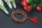 2 Mukhi Rudraksha Mala