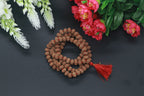 6 Mukhi Rudraksha Mala