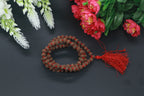 9 Mukhi Rudraksha Mala