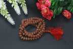 10 Mukhi Rudraksha Mala