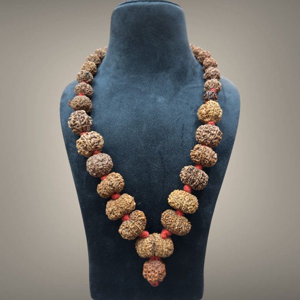 1 - 14 Mukhi Rudraksha Mala combination - Nepali