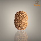 13 MUKHI RUDRAKSHA (SMALL)- NEPALI BEAD
