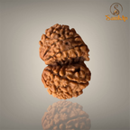 GAURI SHANKAR RUDRAKSHA (SMALL)- NEPALI BEAD