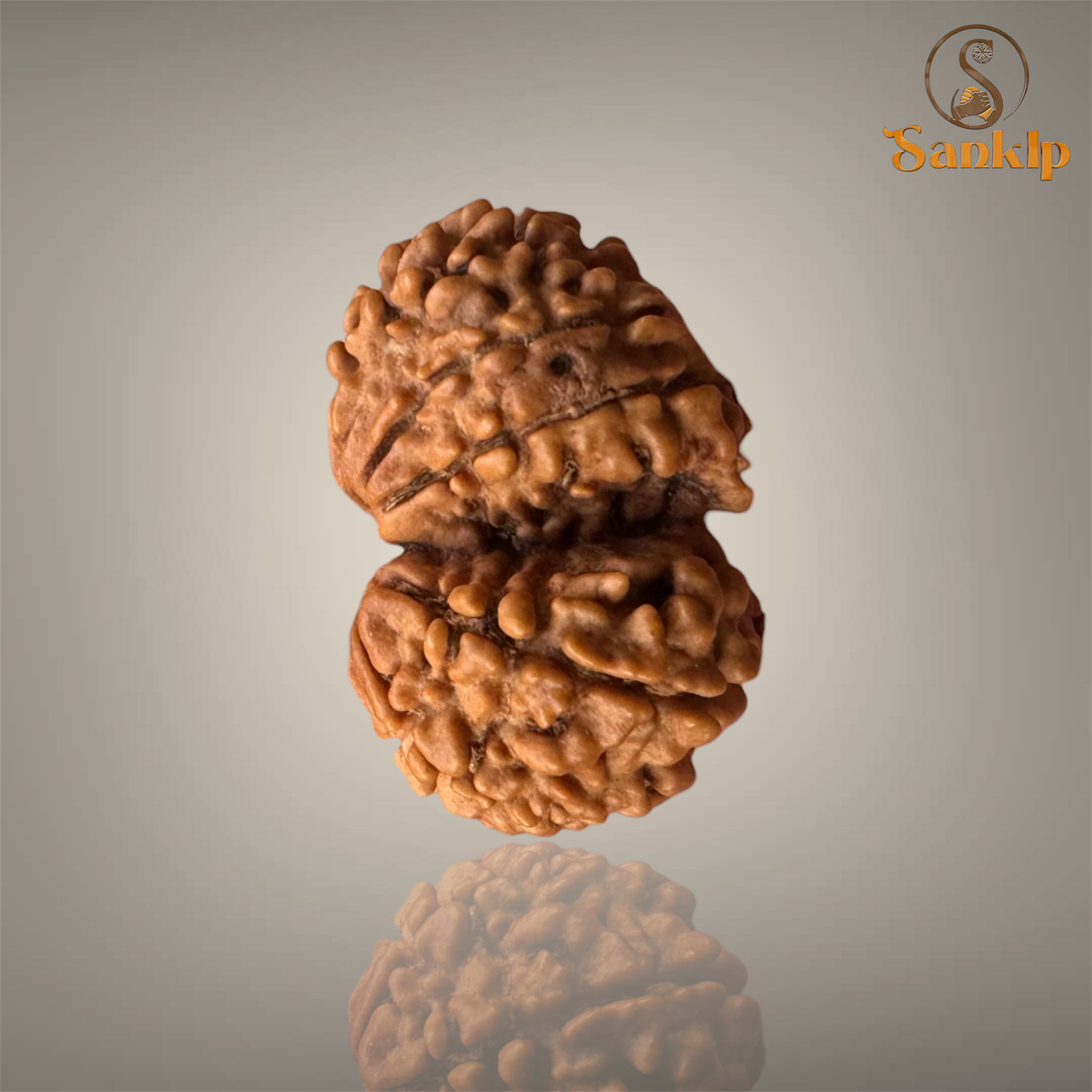 GAURI SHANKAR RUDRAKSHA (SMALL)- NEPALI BEAD