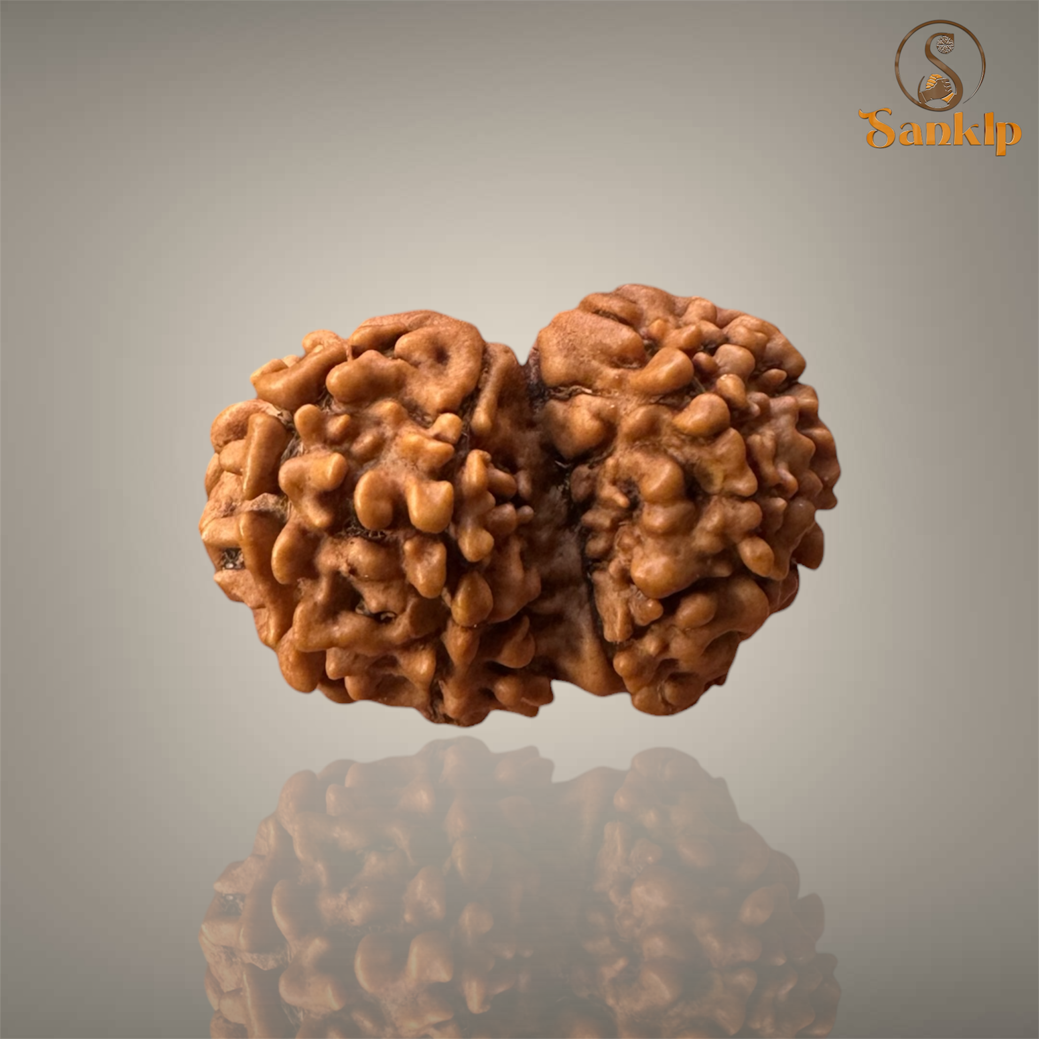 GAURI SHANKAR RUDRAKSHA (SMALL)- NEPALI BEAD