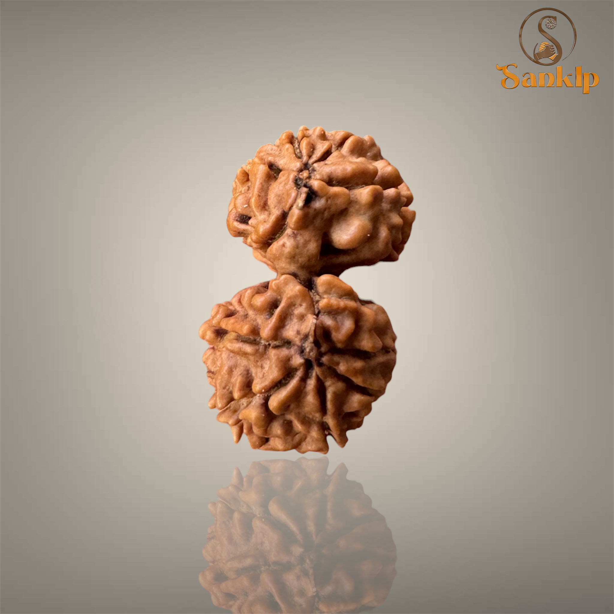 GAURI SHANKAR RUDRAKSHA (SMALL)- NEPALI BEAD