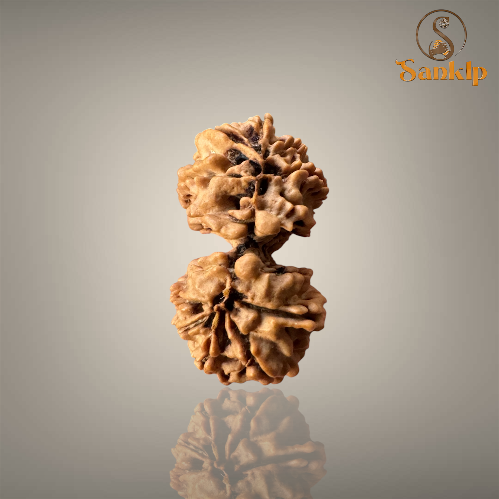 GAURI SHANKAR RUDRAKSHA (MEDIUM)- NEPALI BEAD