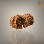 GAURI SHANKAR RUDRAKSHA (MEDIUM)- NEPALI BEAD