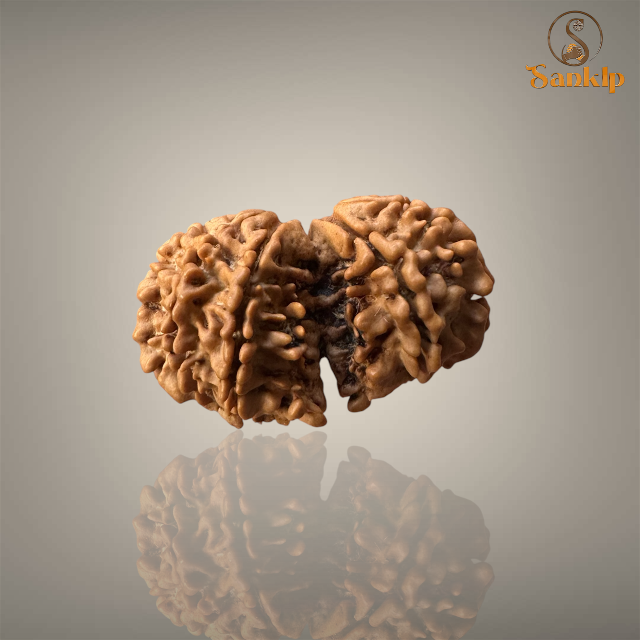 GAURI SHANKAR RUDRAKSHA (MEDIUM)- NEPALI BEAD