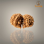 GAURI SHANKAR RUDRAKSHA (MEDIUM)- NEPALI BEAD
