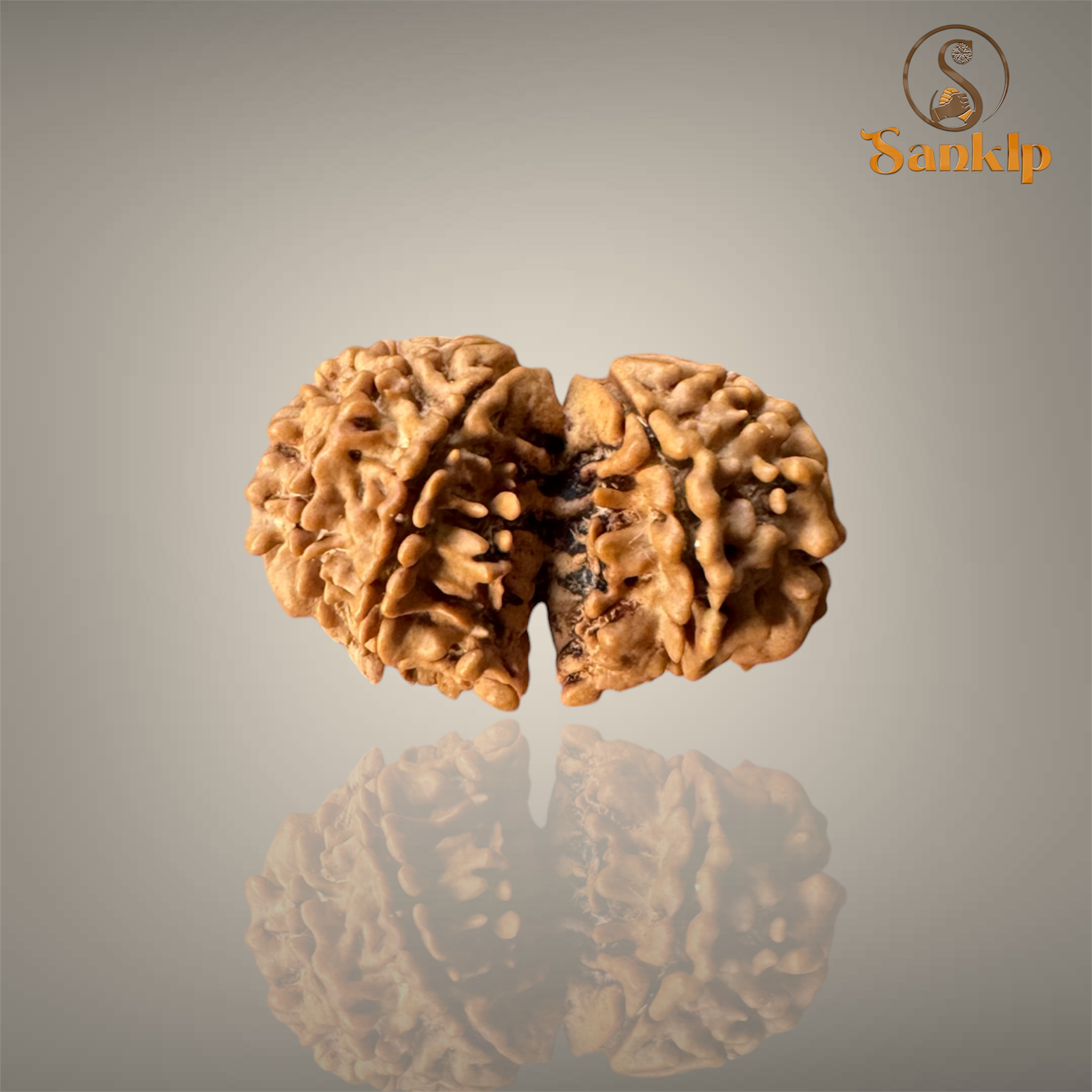 GAURI SHANKAR RUDRAKSHA (MEDIUM)- NEPALI BEAD