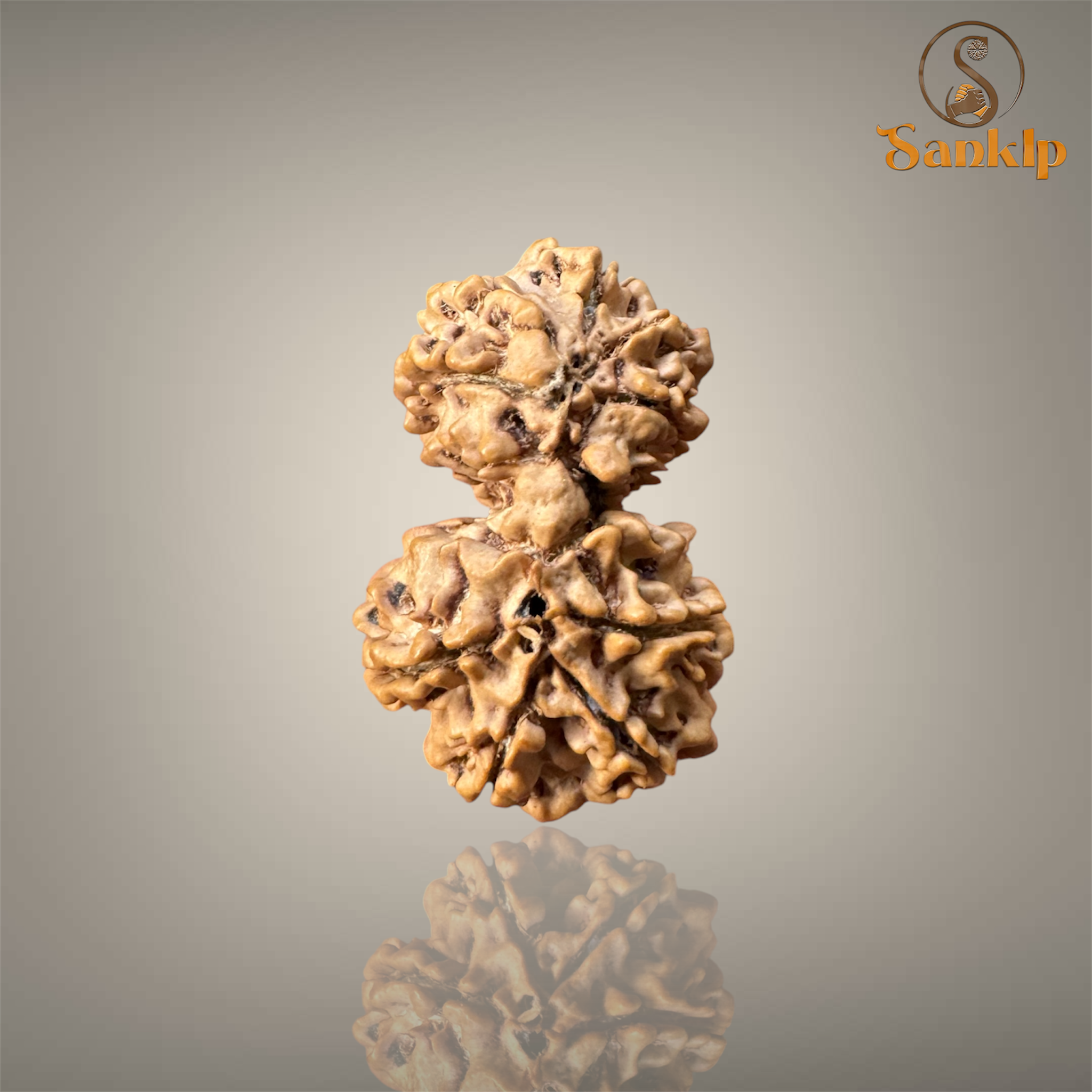 GAURI SHANKAR RUDRAKSHA (BIG)- NEPALI BEAD