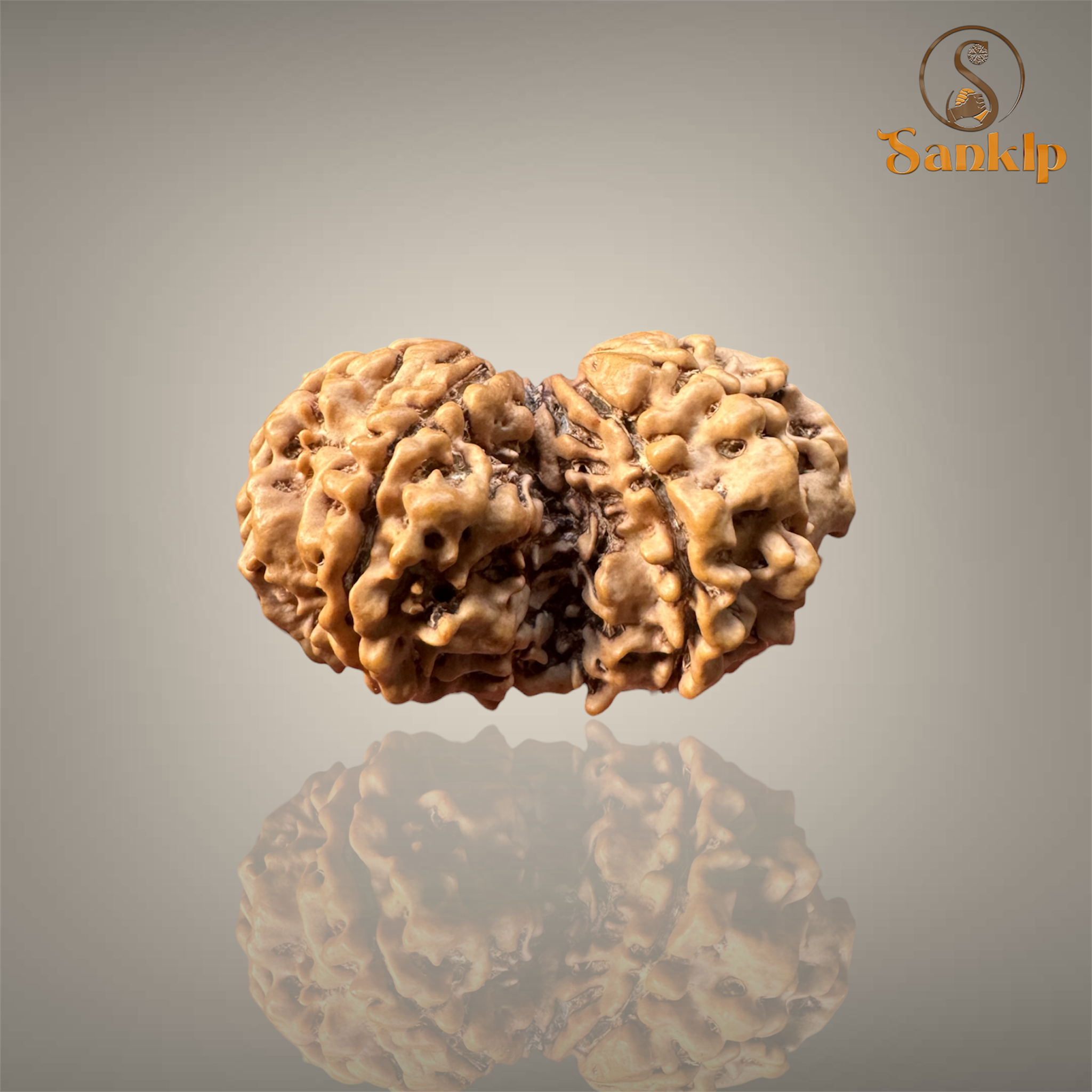 GAURI SHANKAR RUDRAKSHA (BIG)- NEPALI BEAD