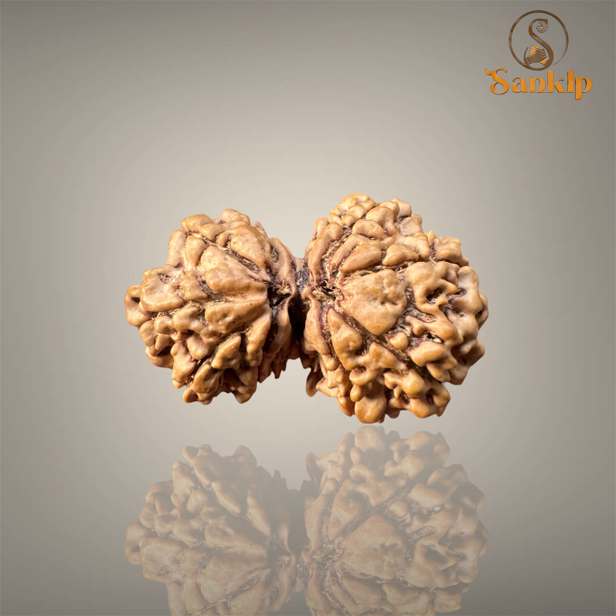GAURI SHANKAR RUDRAKSHA (BIG)- NEPALI BEAD