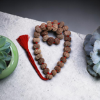 "10 Mukhi Nepali Rudraksha Kantha made with authentic Rudraksha beads in a traditional and spiritual design."