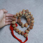 "10 Mukhi Nepali Rudraksha Kantha made with authentic Rudraksha beads in a traditional and spiritual design."