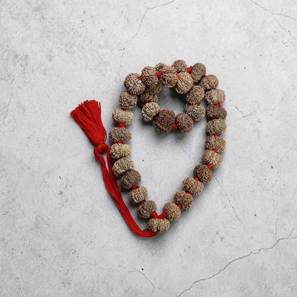 "10 Mukhi Nepali Rudraksha Kantha made with authentic Rudraksha beads in a traditional and spiritual design."