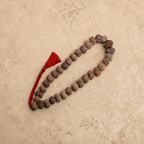 "10 Mukhi Nepali Rudraksha Kantha made with authentic Rudraksha beads in a traditional and spiritual design."