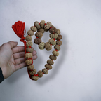 "11 Mukhi Nepali Rudraksha Kantha made with authentic Rudraksha beads in a traditional and spiritual design."
