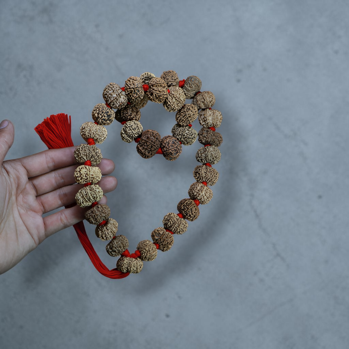 "12 Mukhi Nepali Rudraksha Kantha made with authentic Rudraksha beads in a traditional and spiritual design."